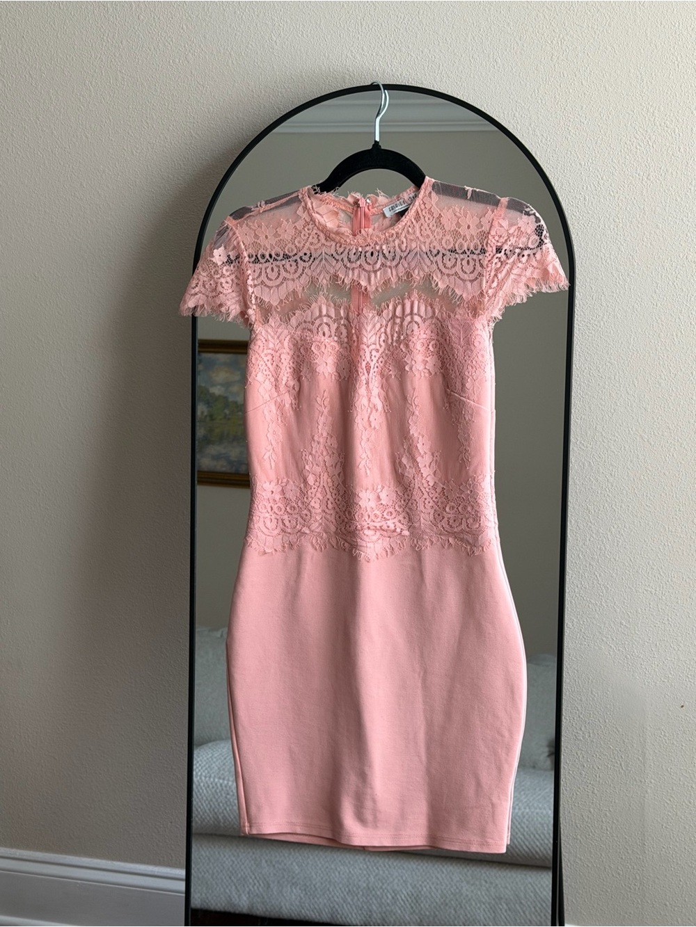 Pink Lace Bodycon Mini Dress – Sheer Lace Detail
